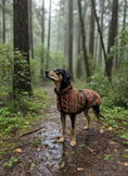 Load image into Gallery viewer, Kishua Rain Jacket